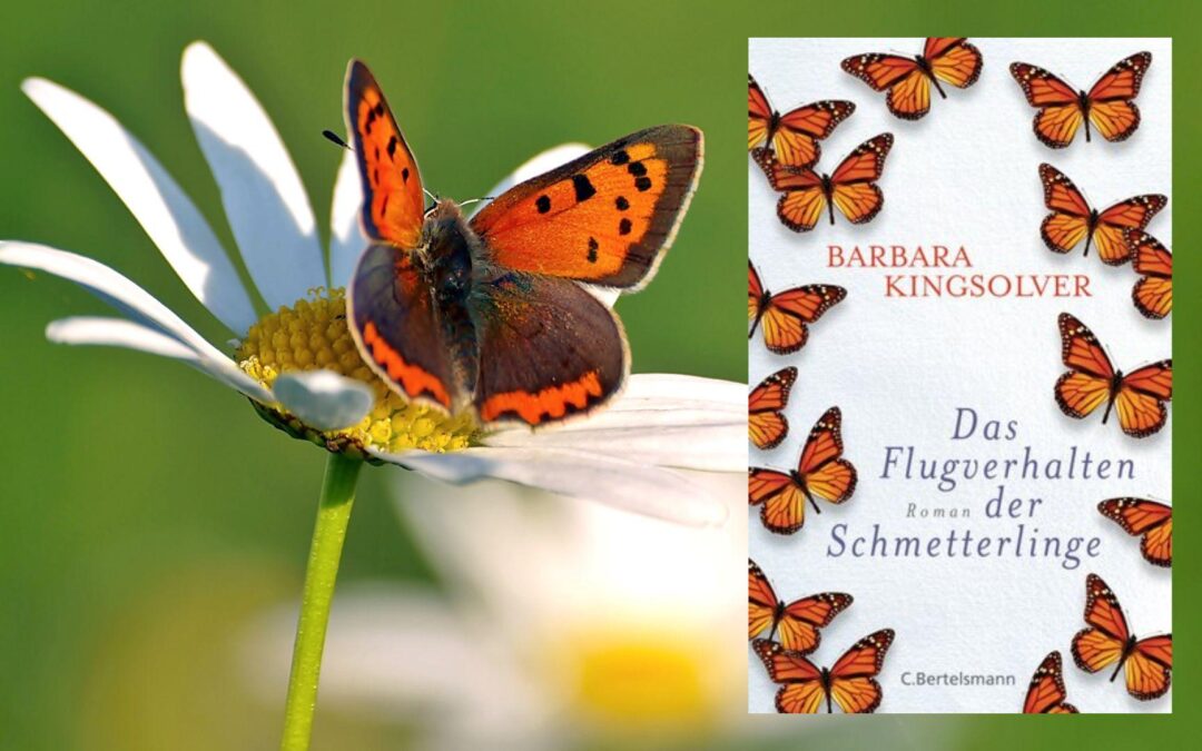 Barbara Kingsolver: „Das Flugverhalten der Schmetterlinge“