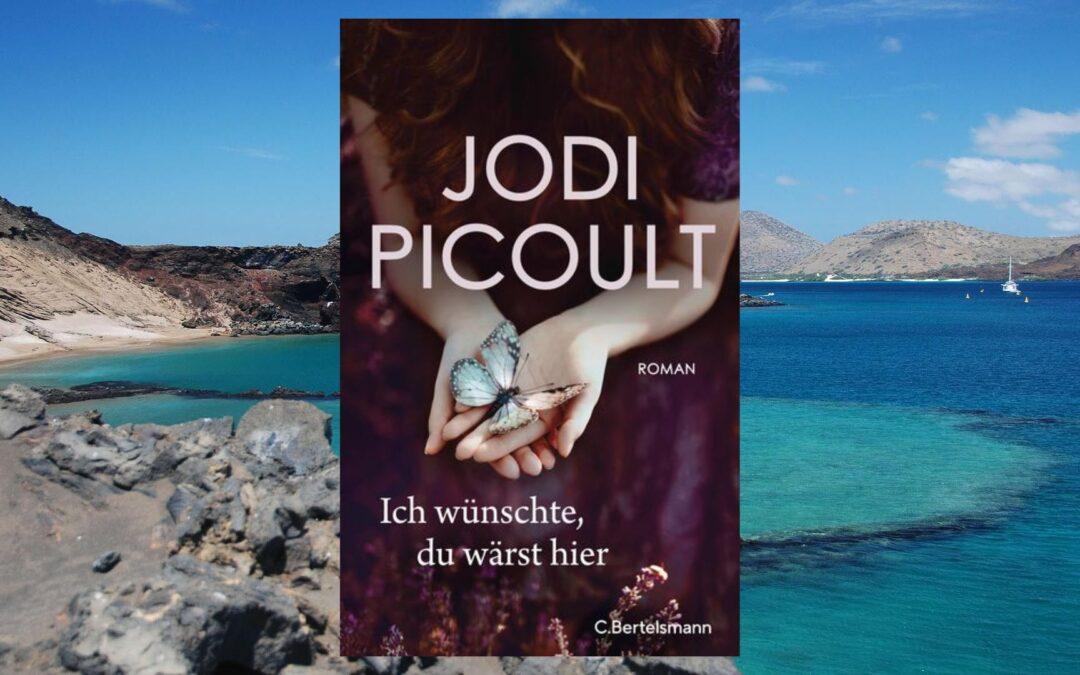 „Ich wünschte, du wärst hier“ von Jodi Picoult