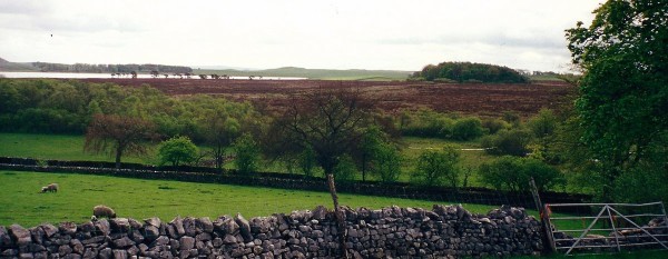 yorkshire dales moore